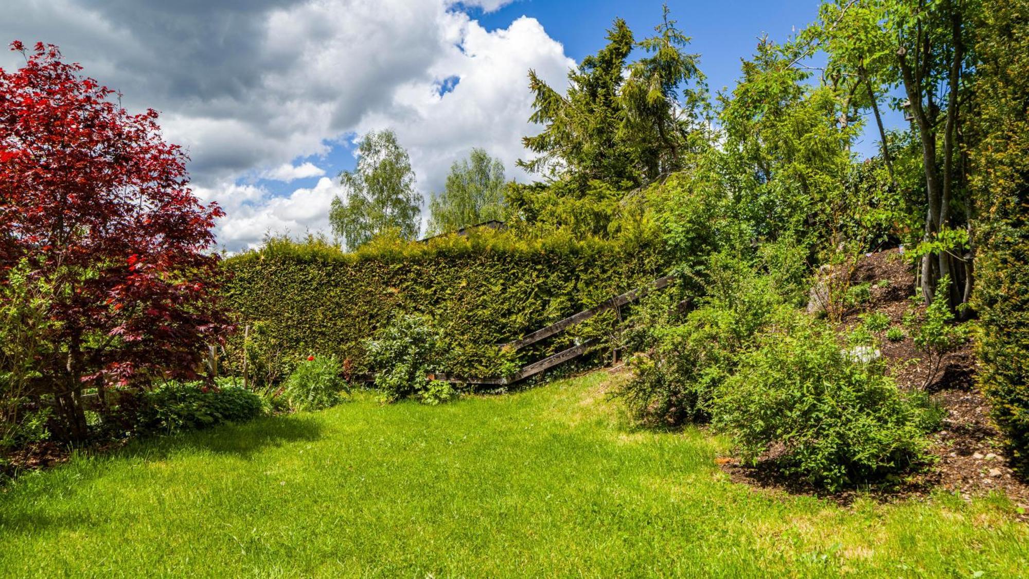 Schwarzwaldliebe Villa Lenzkirch Exterior photo